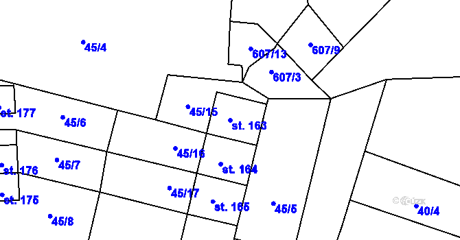 Parcela st. 163 v KÚ Žitná u Netolic, Katastrální mapa
