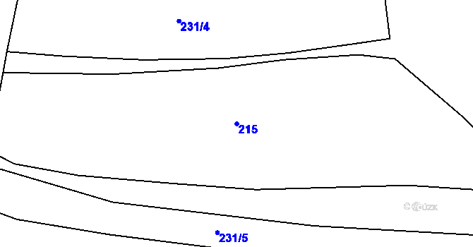 Parcela st. 215 v KÚ Žitná u Netolic, Katastrální mapa