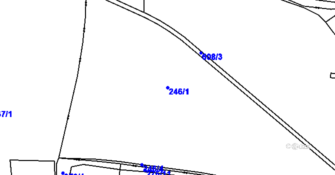 Parcela st. 246/1 v KÚ Žitná u Netolic, Katastrální mapa