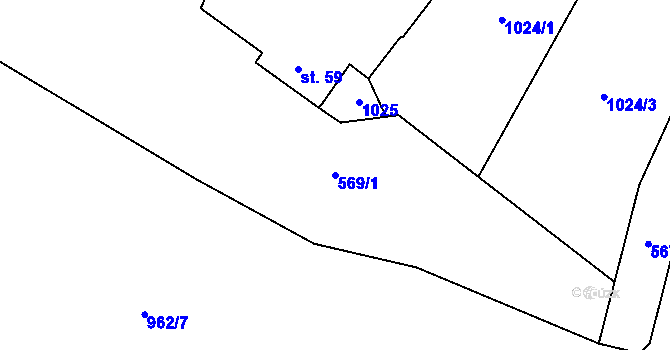 Parcela st. 569/1 v KÚ Žitná u Netolic, Katastrální mapa