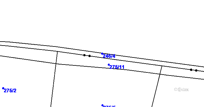 Parcela st. 246/4 v KÚ Žitná u Netolic, Katastrální mapa