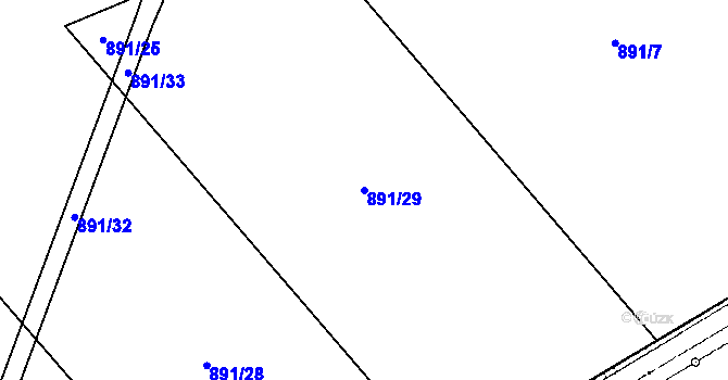 Parcela st. 891/29 v KÚ Žitná u Netolic, Katastrální mapa