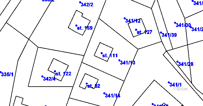 Parcela st. 111 v KÚ Žizníkov, Katastrální mapa