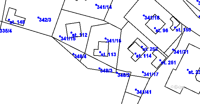 Parcela st. 113 v KÚ Žizníkov, Katastrální mapa