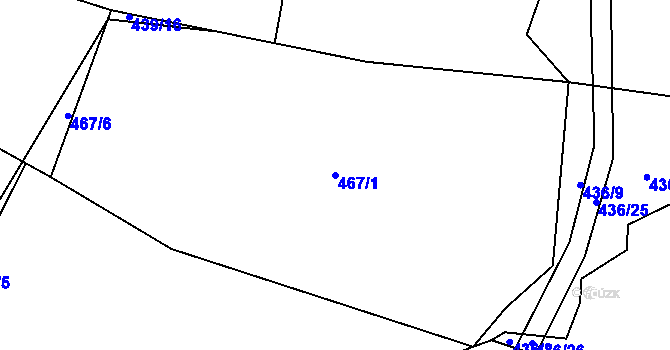 Parcela st. 467/1 v KÚ Žižkovo Pole, Katastrální mapa