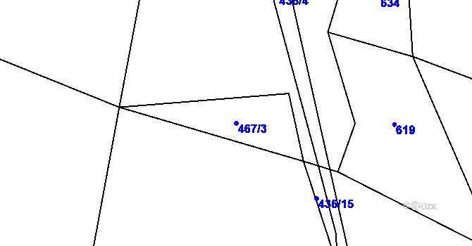 Parcela st. 467/3 v KÚ Žižkovo Pole, Katastrální mapa