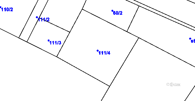 Parcela st. 111/4 v KÚ Kozojedy u Žlunic, Katastrální mapa