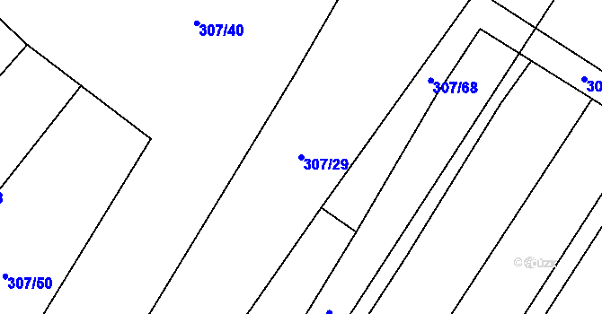 Parcela st. 307/29 v KÚ Kozojedy u Žlunic, Katastrální mapa