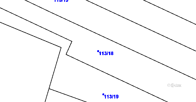 Parcela st. 113/18 v KÚ Kozojedy u Žlunic, Katastrální mapa