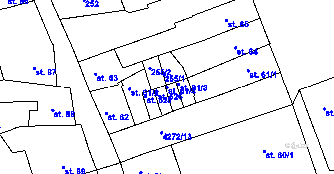 Parcela st. 61/4 v KÚ Žlutice, Katastrální mapa