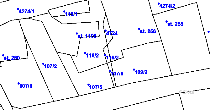 Parcela st. 116/3 v KÚ Žlutice, Katastrální mapa