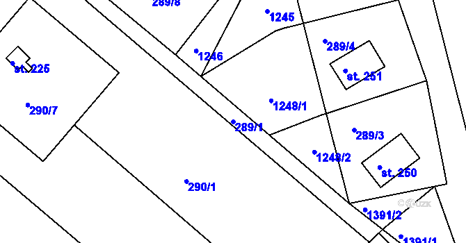 Parcela st. 289/1 v KÚ Žopy, Katastrální mapa