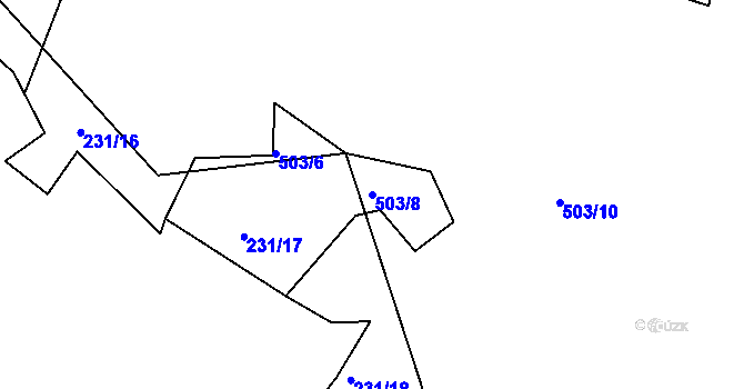 Parcela st. 503/8 v KÚ Kvaslice, Katastrální mapa
