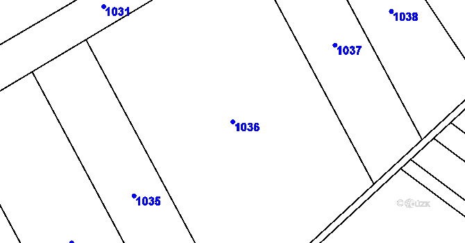 Parcela st. 1036 v KÚ Šardičky, Katastrální mapa