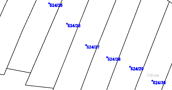 Parcela st. 524/27 v KÚ Březenský Dvůr, Katastrální mapa