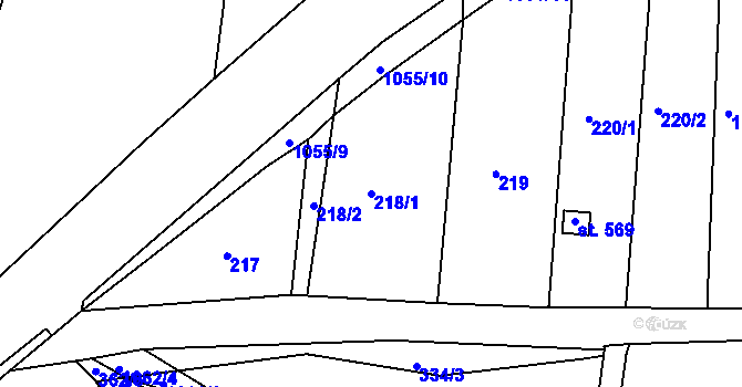Parcela st. 218/1 v KÚ Staňkov-ves, Katastrální mapa