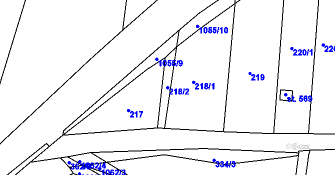 Parcela st. 218/2 v KÚ Staňkov-ves, Katastrální mapa