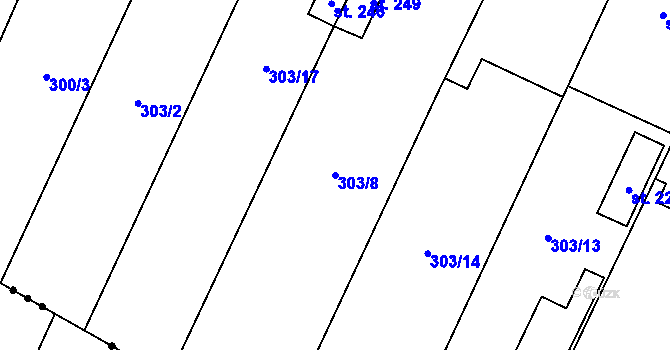 Parcela st. 303/8 v KÚ Nové Petrovice, Katastrální mapa