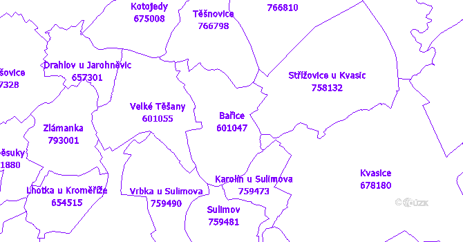 Katastrální mapa Bařice-Velké Těšany