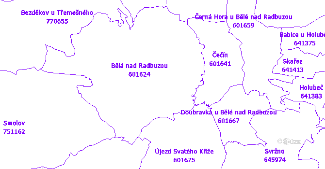 Katastrální mapa Bělá nad Radbuzou