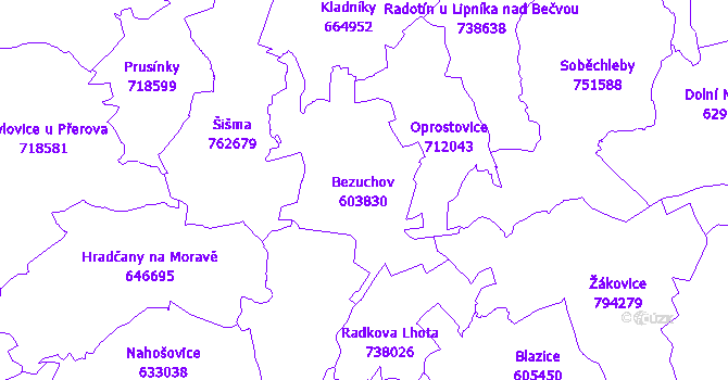Katastrální mapa Bezuchov