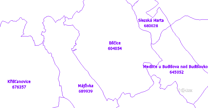 Katastrální mapa Bílčice