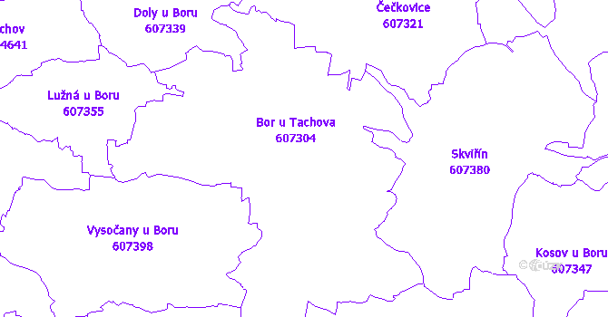 Katastrální mapa Bor