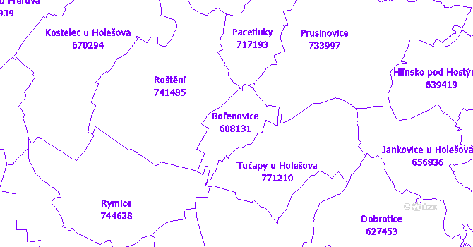Katastrální mapa Bořenovice