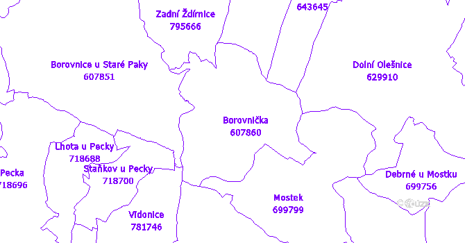 Katastrální mapa Borovnička