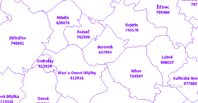 Katastrální mapa Borovník