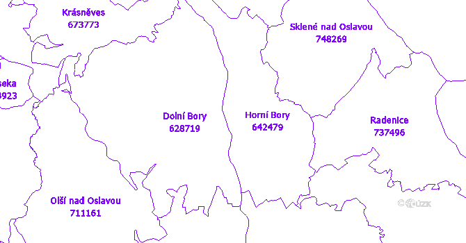 Katastrální mapa Bory
