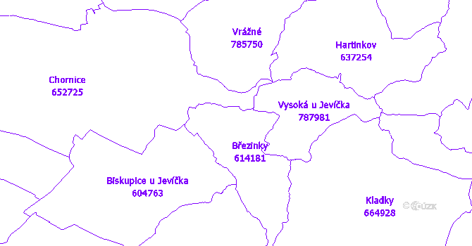 Katastrální mapa Březinky