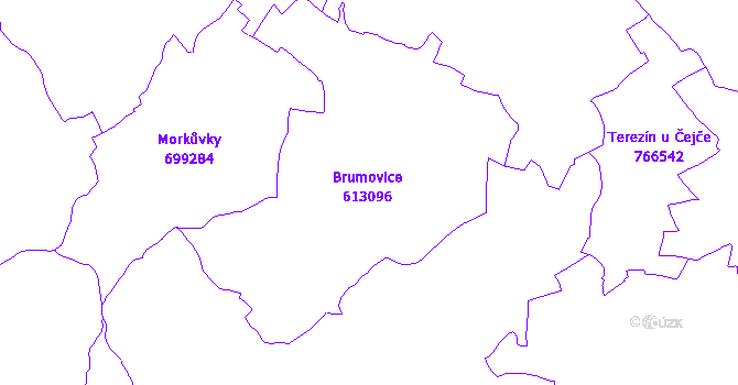 Katastrální mapa Brumovice