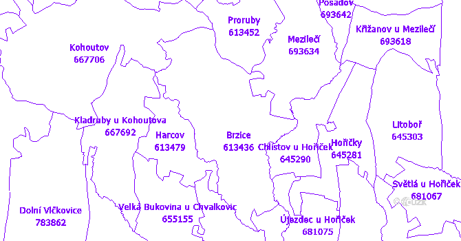 Katastrální mapa Brzice