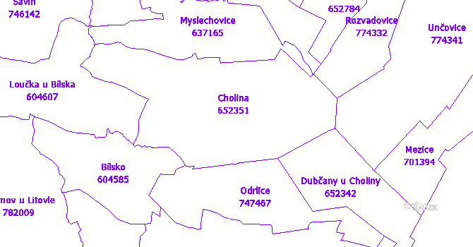 Katastrální mapa Cholina