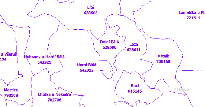 Katastrální mapa Dolní Bělá