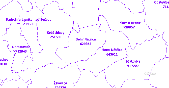 Katastrální mapa Dolní Nětčice