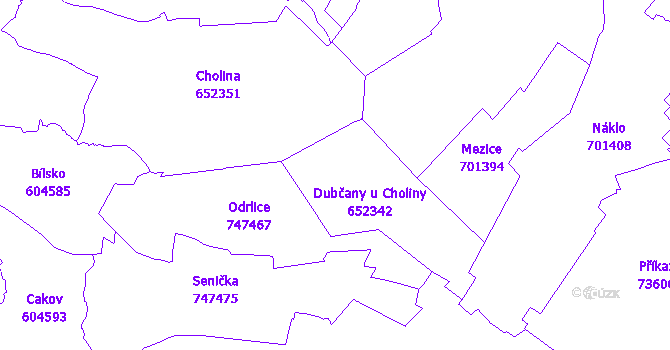 Katastrální mapa Dubčany