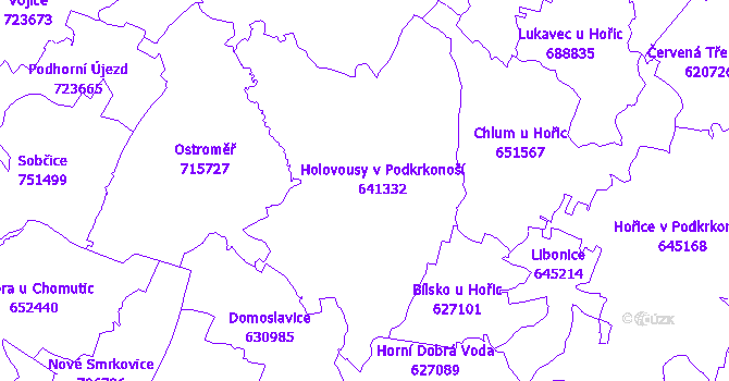 Katastrální mapa Holovousy