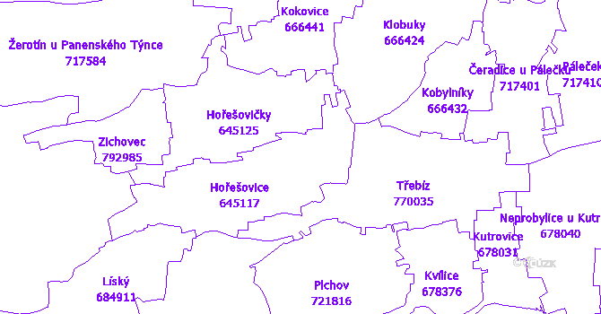 Katastrální mapa Hořešovice