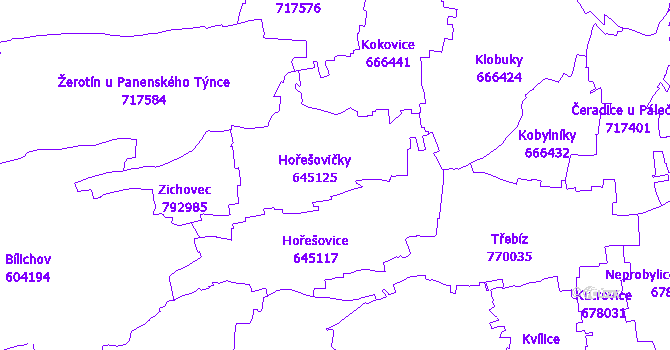 Katastrální mapa Hořešovičky