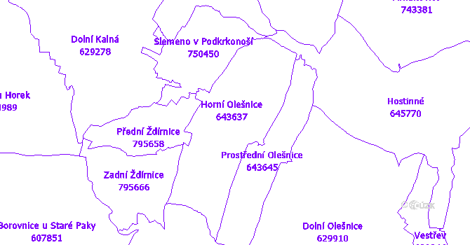 Katastrální mapa Horní Olešnice