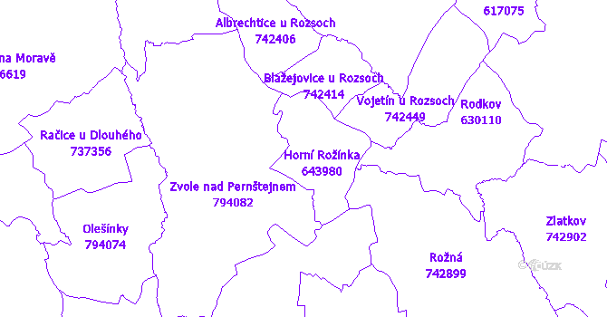 Katastrální mapa Horní Rožínka