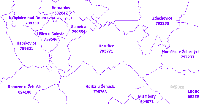 Katastrální mapa Horušice