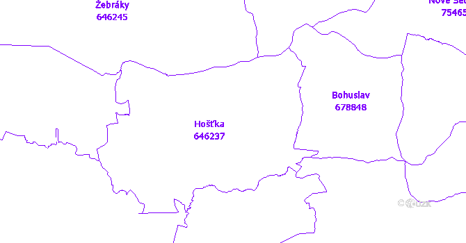 Katastrální mapa Hošťka