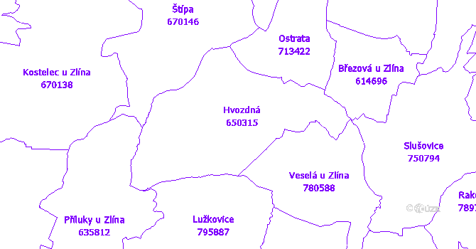 Katastrální mapa Hvozdná