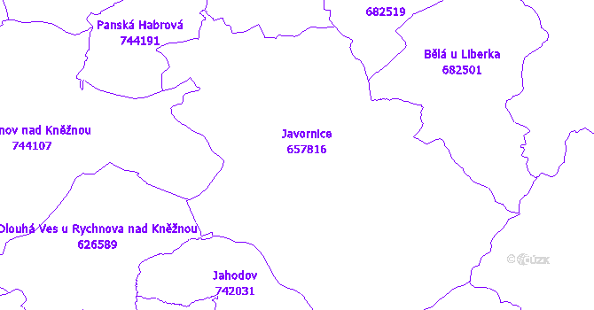 Katastrální mapa Javornice