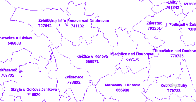 Katastrální mapa Kněžice