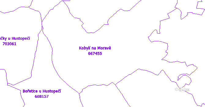 Katastrální mapa Kobylí