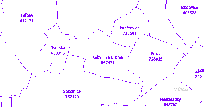 Katastrální mapa Kobylnice